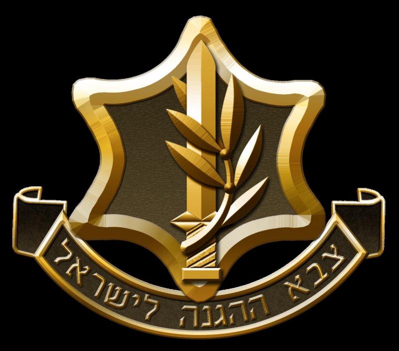 ערב הוקרה לפצועי צה"ל ערב הוקרה לפצועי צה"ל